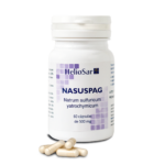 Nasuspag