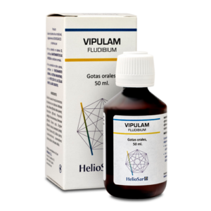 Vipulam