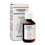 Bursagin